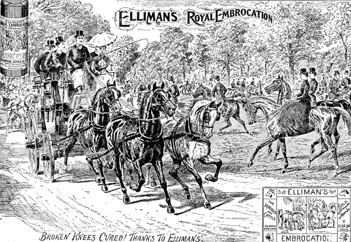 Framed Print : Advertisement for Elliman's Royal Embrocation, 1895. Creator: Joseph Swain. Advertisement for Elliman's Royal Embrocation, 1895. Creator: Joseph Swain Framed Print : Advertisement for Elliman's Royal Embrocation, 1895. Creator: Joseph Swain. Advertisement for Elliman's Royal Embrocation, 1895. Creator: Joseph Swain