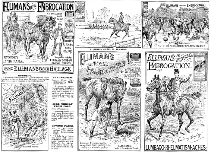 Framed Print : Advertisement for Elliman's Royal and Universal Embrocations, 1895. Creator: Unknown. Advertisement for Elliman's Royal and Universal Embrocations, 1895. Creator: Unknown Framed Print : Advertisement for Elliman's Royal and Universal Embrocations, 1895. Creator: Unknown. Advertisement for Elliman's Royal and Universal Embrocations, 1895. Creator: Unknown