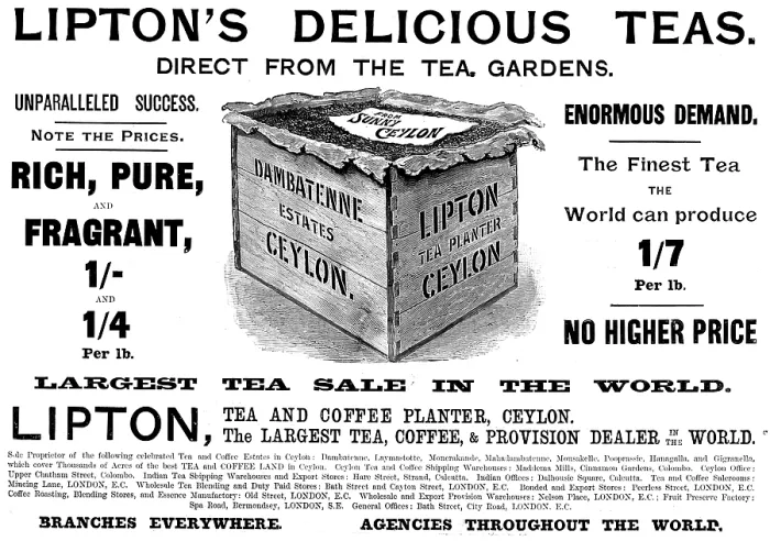 Framed Print : Advertisement for Lipton's Tea, 1895. Creator: Unknown. Advertisement for Lipton's Tea, 1895. Creator: Unknown Framed Print : Advertisement for Lipton's Tea, 1895. Creator: Unknown. Advertisement for Lipton's Tea, 1895. Creator: Unknown