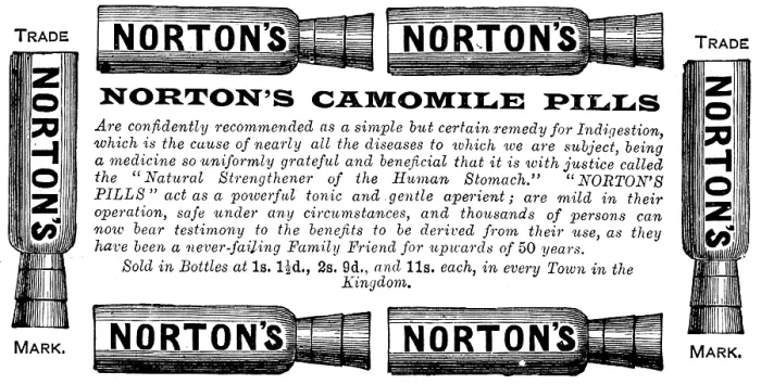Framed Print : Advertisement for Norton's Camomile Pills, 1890. Creator: Unknown Framed Print : Advertisement for Norton's Camomile Pills, 1890. Creator: Unknown