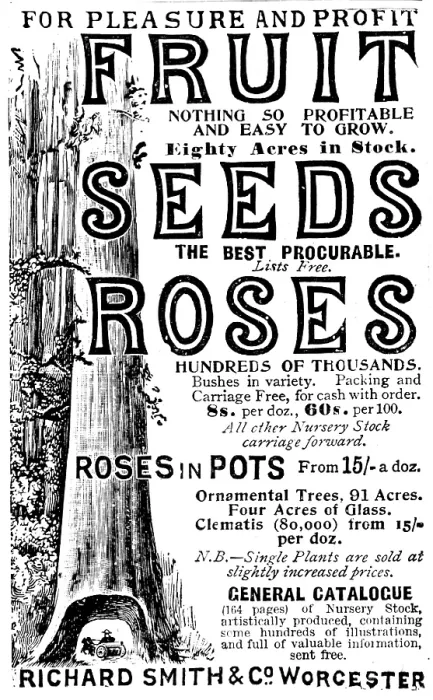 Framed Print : Advertisement for Richard Smith & Co's Fruit, Seeds and Roses, 1895. Creator: Unknown. Advertisement for Richard Smith & Co's Fruit, Seeds and Roses, 1895