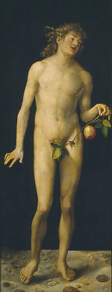 Adam, 1507. Artist: Durer, Albrecht (1471-1528)