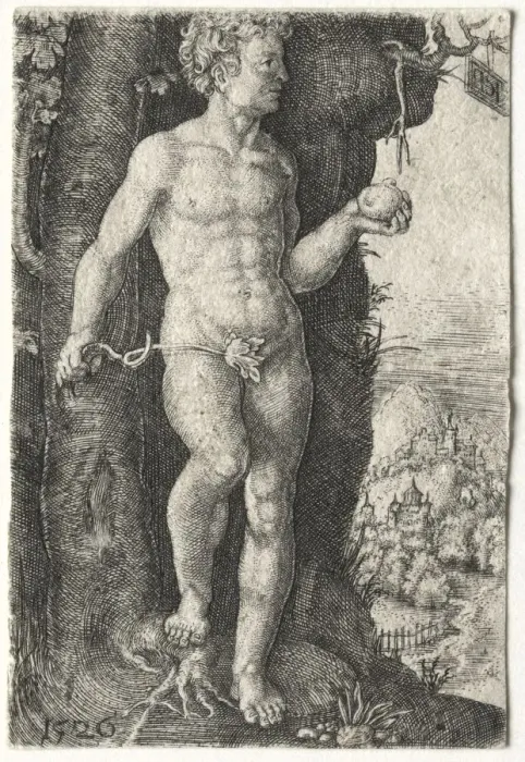 Framed Print : Adam, 1526. Creator: Jacob Binck (German, 1500-1569) Framed Print : Adam, 1526. Creator: Jacob Binck (German, 1500-1569)