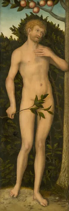 Framed Print : Adam, 1533 / 37. Creator: Lucas Cranach the Elder Framed Print : Adam, 1533 / 37. Creator: Lucas Cranach the Elder