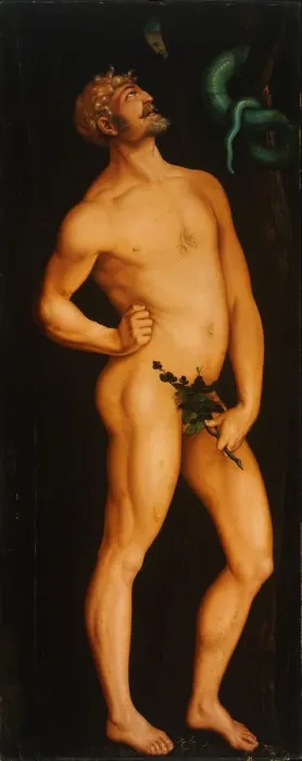 Framed Print : Adam. Artist: Baldung, Hans (1484-1545) Framed Print : Adam. Artist: Baldung, Hans (1484-1545)