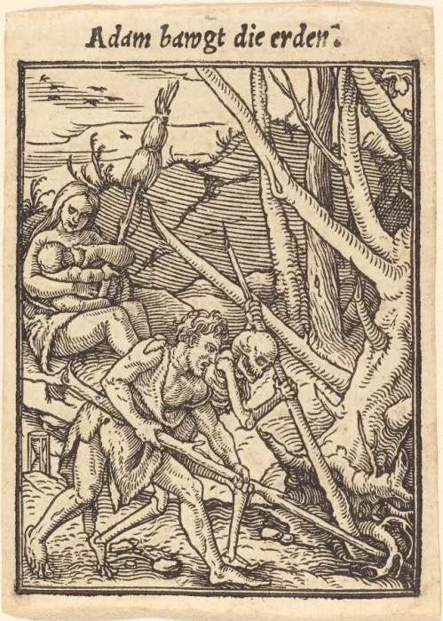 Framed Print : Adam bawgt die erden. Creator: Hans Holbein the Younger Framed Print : Adam bawgt die erden. Creator: Hans Holbein the Younger