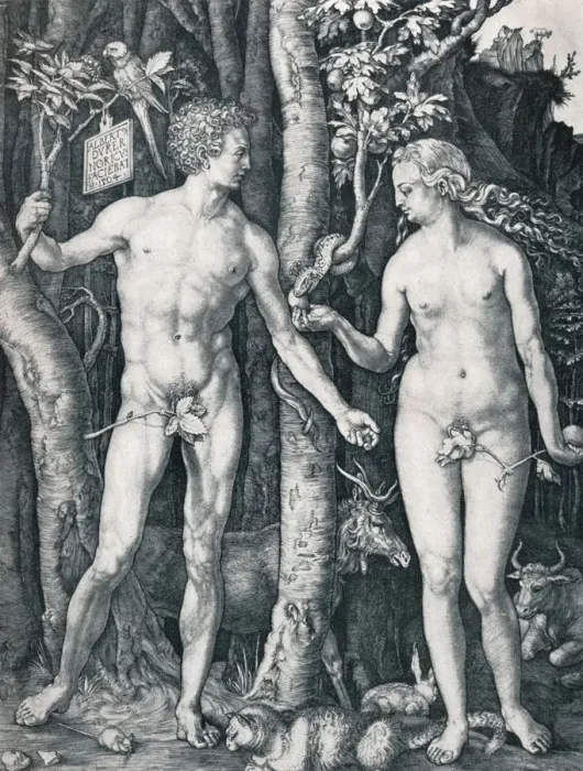 Framed Print : Adam and Eve, 1504 (1906). Artist: Albrecht Durer Framed Print : Adam and Eve, 1504 (1906). Artist: Albrecht Durer