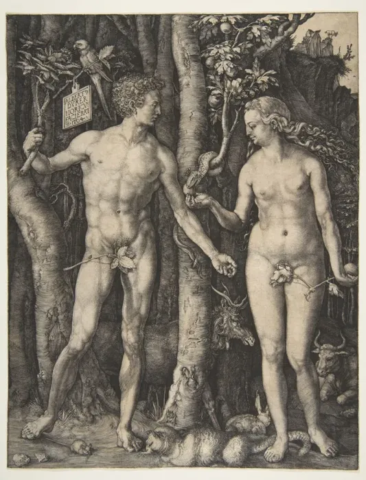 Framed Print : Adam and Eve, 1504. Creator: Albrecht Durer Framed Print : Adam and Eve, 1504. Creator: Albrecht Durer