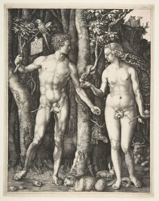 Framed Print : Adam and Eve, 1504. Creator: Albrecht Durer Framed Print : Adam and Eve, 1504. Creator: Albrecht Durer