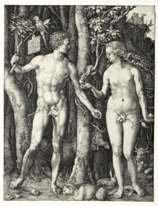 Framed Print : Adam and Eve, 1504. Creator: Albrecht Dürer (German, 1471-1528) Framed Print : Adam and Eve, 1504. Creator: Albrecht Dürer (German, 1471-1528)