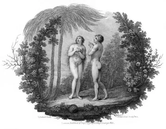 Framed Print : Adam and Eve, 1796. Artist: Francesco Bartolozzi Framed Print : Adam and Eve, 1796. Artist: Francesco Bartolozzi