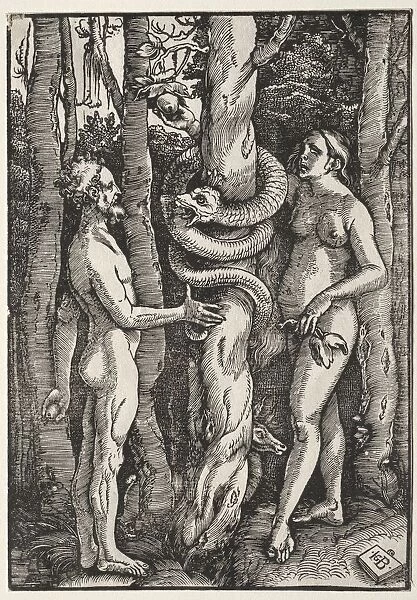Adam and Eve, c. 1514. Creator: Hans Baldung (German, 1484  /  85-1545)