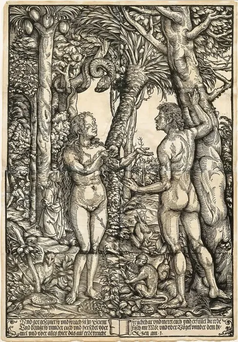 Framed Print : Adam and Eve, c1525. Creator: Burgkmair; Hans; the Elder (1473-1531) Framed Print : Adam and Eve, c1525. Creator: Burgkmair; Hans; the Elder (1473-1531)