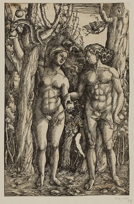 Framed Print : Adam and Eve. Creator: Albrecht Durer Framed Print : Adam and Eve. Creator: Albrecht Durer