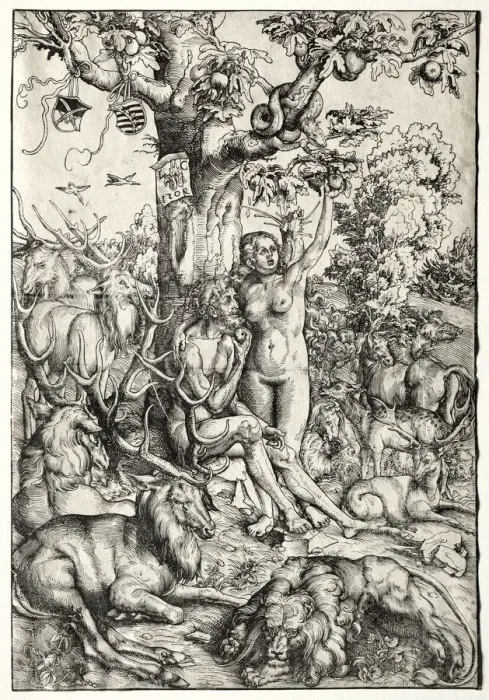 Framed Print : Adam and Eve in Paradise, 1509. Creator: Lucas Cranach (German, 1472-1553) Framed Print : Adam and Eve in Paradise, 1509. Creator: Lucas Cranach (German, 1472-1553)
