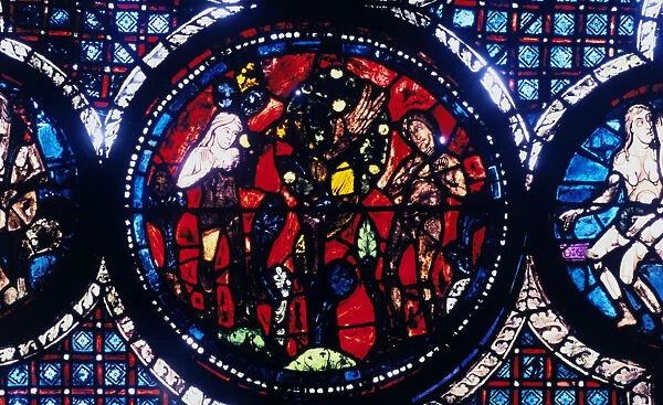 Adam and Eve (The Fall of Man), stained glass, Chartres Cathedral, France, 1194-1260