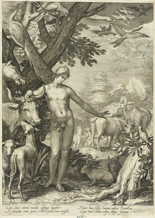 Framed Print : Adam Naming the Animals, 1604. Creator: Jan Saenredam Framed Print : Adam Naming the Animals, 1604. Creator: Jan Saenredam