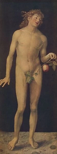 Adan, (Adam), 1507, (c1934). Artist: Albrecht Durer