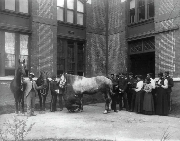 Framed Print : African American students judging horses - Hampton Institute, 1899 or 1900. Creator: Frances Benjamin Johnston Framed Print : African American students judging horses - Hampton Institute, 1899 or 1900. Creator: Frances Benjamin Johnston