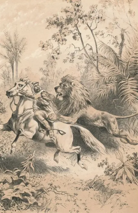 Framed Print : African Traveller Attacked by A Lion, c1880 Framed Print : African Traveller Attacked by A Lion, c1880
