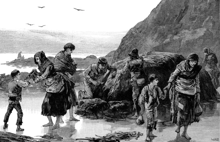 Framed Print : Aftermath of famine, Ireland (1840s), 1886 Framed Print : Aftermath of famine, Ireland (1840s), 1886