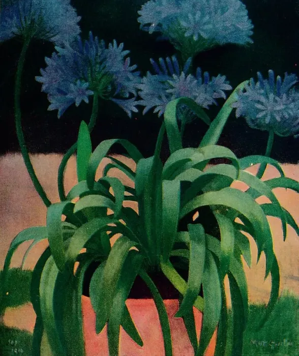 Framed Print : Agapanthus, 1914, (c1932). Artist: Mark Gertler Framed Print : Agapanthus, 1914, (c1932). Artist: Mark Gertler