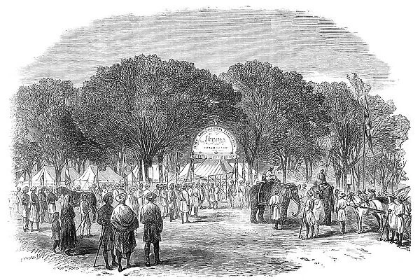 Agricultural Exhibition at Roorkee, North-West Provinces of India: general view, 1864. Creator: Unknown