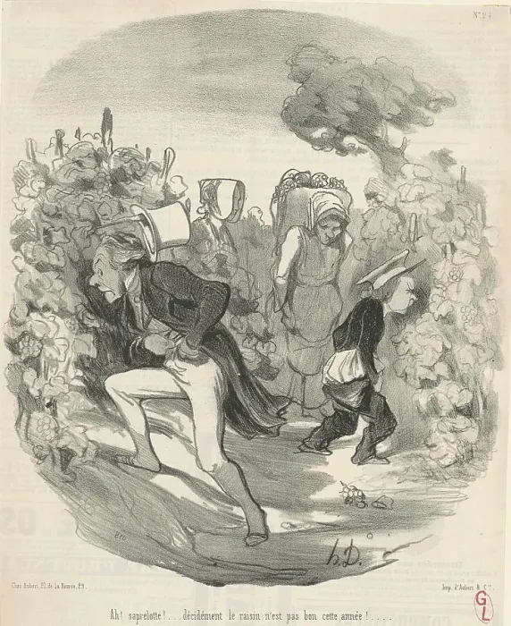 Framed Print : Ah! Saperlotte!... Le raisin n'est pas bon cette année!... 19th century. Creator: Honore Daumier Framed Print : Ah! Saperlotte!... Le raisin n'est pas bon cette année!... 19th century. Creator: Honore Daumier