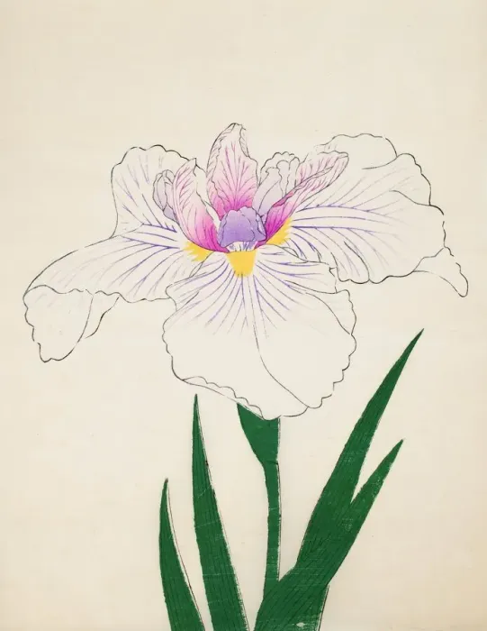 Framed Print : Akashi-No-Ue, No. 10, 1890, (colour woodblock print) Framed Print : Akashi-No-Ue, No. 10, 1890, (colour woodblock print)