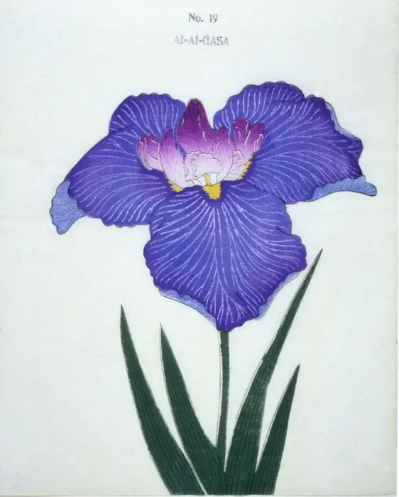 Framed Print : Al-Al-Gasa, No 19 Framed Print : Al-Al-Gasa, No 19