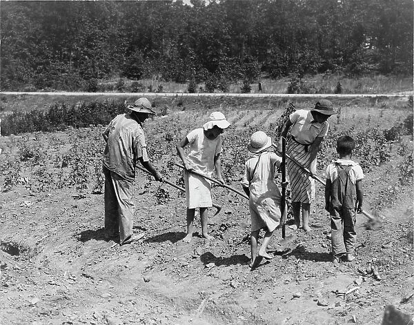 Alabama tenant farmer and children, Near Anniston, Alabama, 1936. Creator: Dorothea Lange