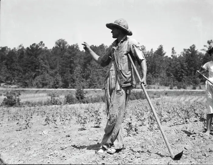Framed Print : Alabama tenant farmer near Anniston, Alabama, 1936. Creator: Dorothea Lange Framed Print : Alabama tenant farmer near Anniston, Alabama, 1936. Creator: Dorothea Lange