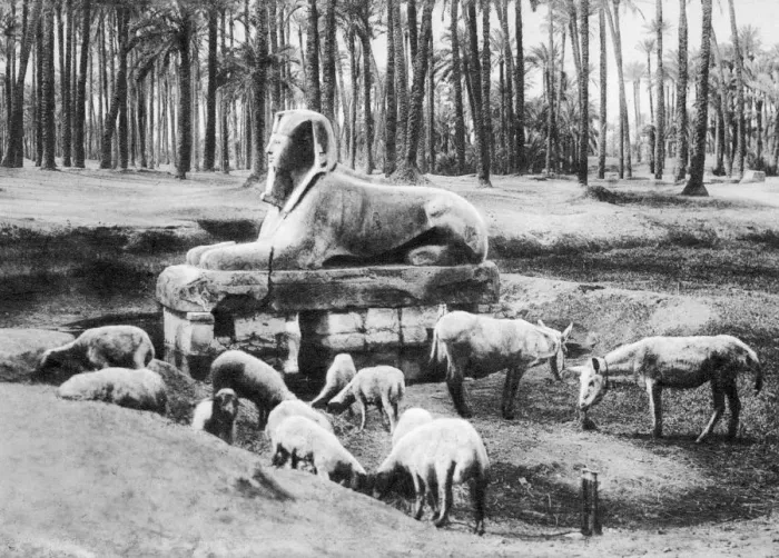 Framed Print : The Alabaster Sphinx, Cairo, Egypt, c1920s Framed Print : The Alabaster Sphinx, Cairo, Egypt, c1920s
