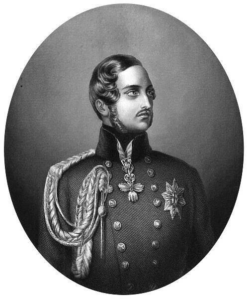 Albert (1819-1861), Prince Consort of Queen Victoria, 1851