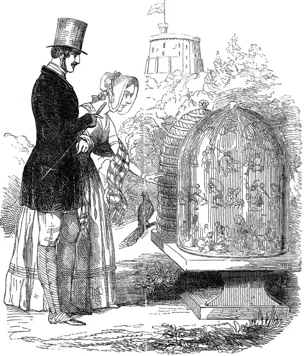 Framed Print : Albert, Prince Consort, showing his hives to Queen Victoria Framed Print : Albert, Prince Consort, showing his hives to Queen Victoria