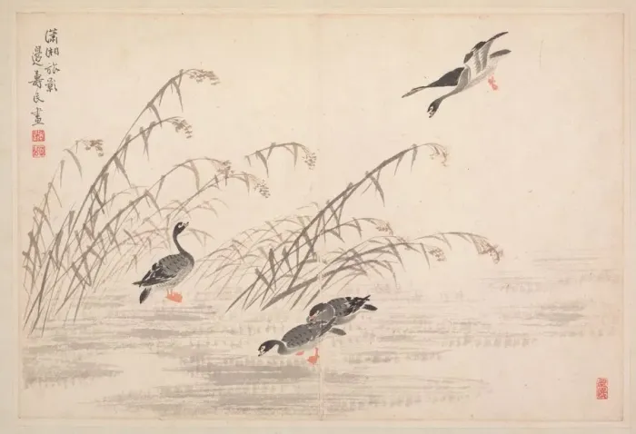 Framed Print : Album of Calligraphy and Paintings, 18th Century. Creator: Bian Shoumin (Chinese, 1684-1752) Framed Print : Album of Calligraphy and Paintings, 18th Century. Creator: Bian Shoumin (Chinese, 1684-1752)