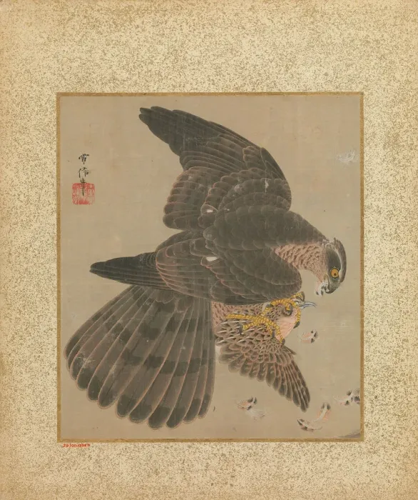 Framed Print : Album of Hawks and Calligraphy, 17th-18th century. Creator: Kano Yoboku Tsunenobu Framed Print : Album of Hawks and Calligraphy, 17th-18th century. Creator: Kano Yoboku Tsunenobu