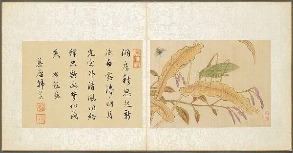 Album of Miscellaneous Subjects, Leaf 7, 1600s. Creator: Fan Qi (Chinese, 1616-aft 1694)