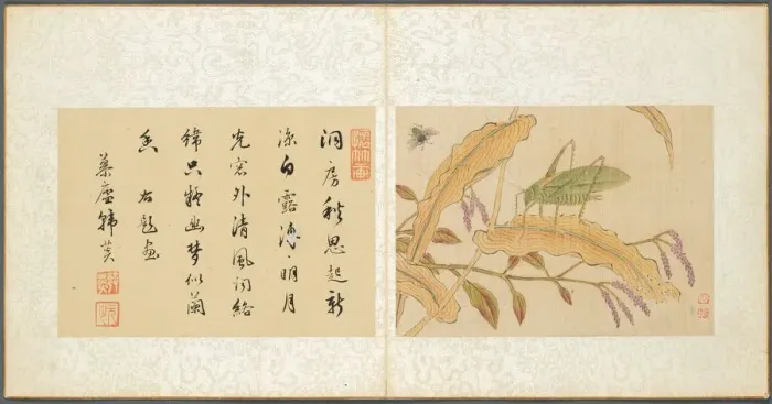 Framed Print : Album of Miscellaneous Subjects, Leaf 7, 1600s. Creator: Fan Qi (Chinese, 1616-aft 1694)
