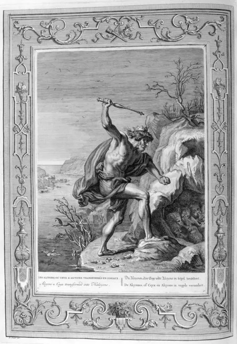 Framed Print : Alcyone and Ceyx transformed into birds, 1733. Artist: Bernard Picart Framed Print : Alcyone and Ceyx transformed into birds, 1733. Artist: Bernard Picart