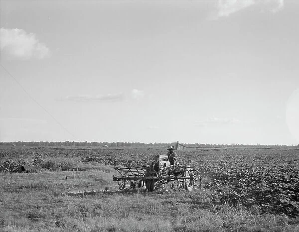 Aldridge Plantation, Mississippi, 1937. Creator: Dorothea Lange