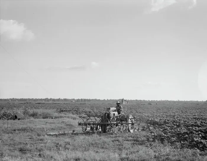 Framed Print : Aldridge Plantation, Mississippi, 1937. Creator: Dorothea Lange Framed Print : Aldridge Plantation, Mississippi, 1937. Creator: Dorothea Lange