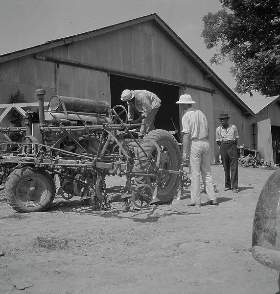 Aldridge Plantation, Mississippi, 1937. Creator: Dorothea Lange