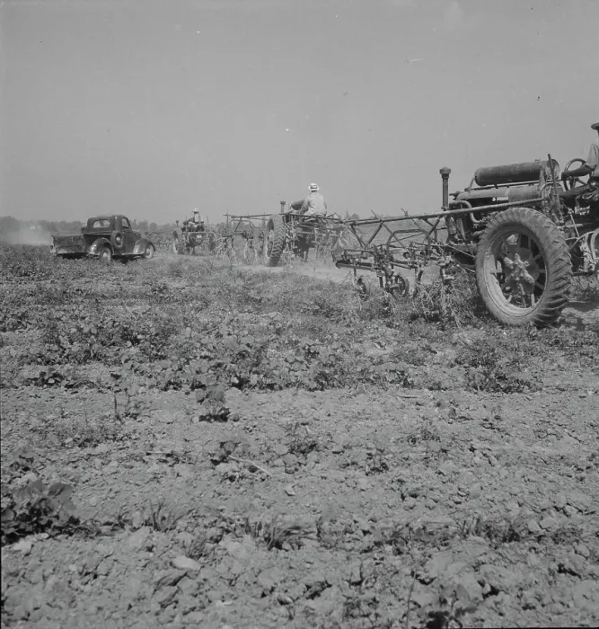 Framed Print : Aldridge Plantation, Mississippi, 1937. Creator: Dorothea Lange Framed Print : Aldridge Plantation, Mississippi, 1937. Creator: Dorothea Lange