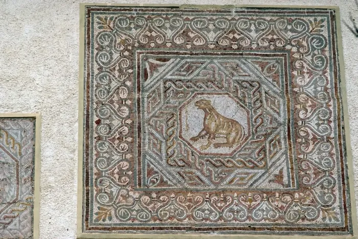 Framed Print : Algeria, Djemila, mosaic Framed Print : Algeria, Djemila, mosaic