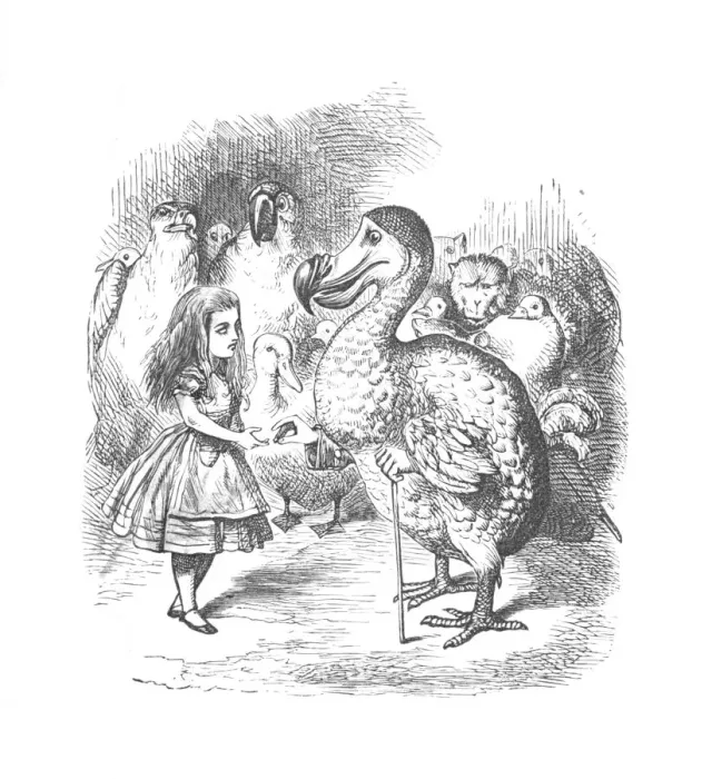 Framed Print : Alice and the Dodo, 1889. Artist: John Tenniel Framed Print : Alice and the Dodo, 1889. Artist: John Tenniel