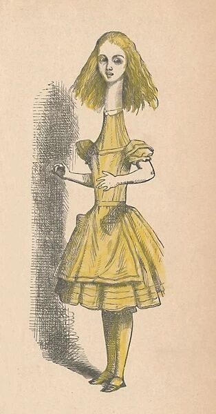 Alice with a long neck, 1889. Artist: John Tenniel