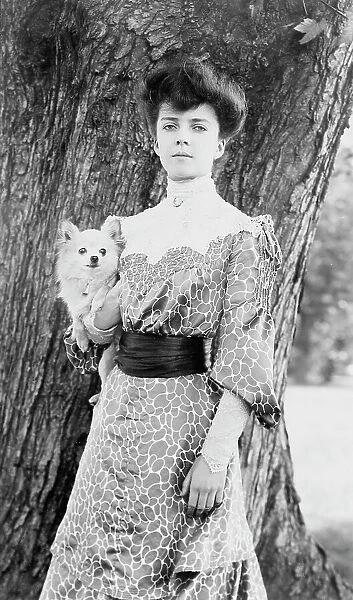 Alice Roosevelt Longworth, three-quarter length portrait, standing in front of tree...dog, c1902. Creator: Frances Benjamin Johnston
