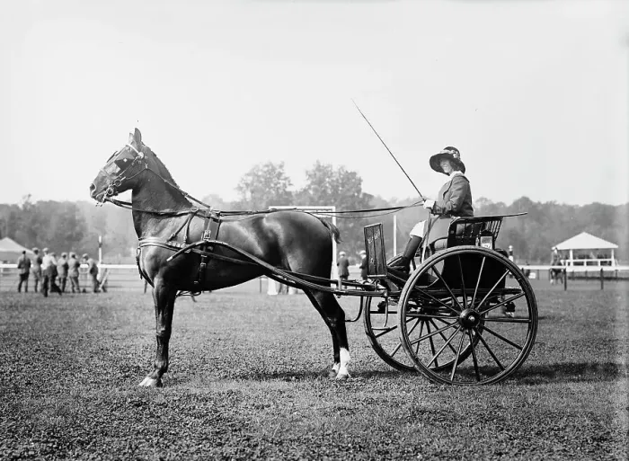 Framed Print : Alix Dolan & Pride of Jersey, 1913. Creator: Bain News Service Framed Print : Alix Dolan & Pride of Jersey, 1913. Creator: Bain News Service