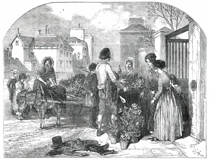 Framed Print : All A-Blowing! All A-Growing!, 1850. Creator: Edmund Evans Framed Print : All A-Blowing! All A-Growing!, 1850. Creator: Edmund Evans